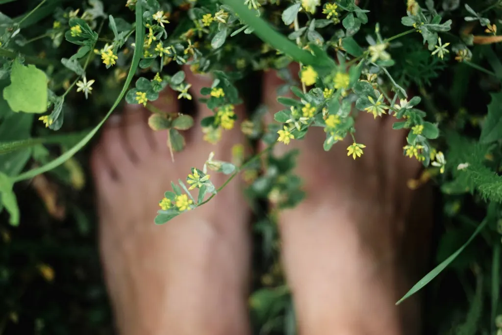 Top view of bare feet earthing in meadow